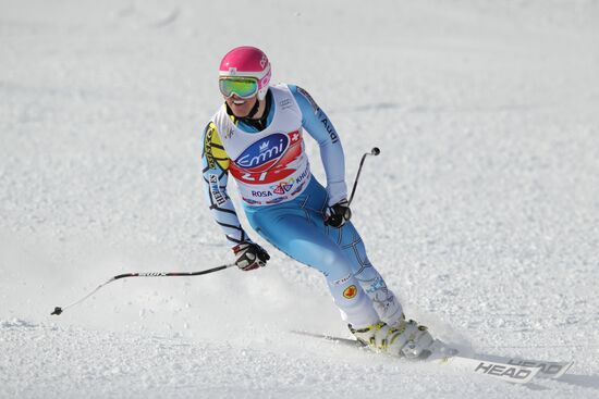 Alpine Skiing. FSI Ski World Cup. Men's downhill