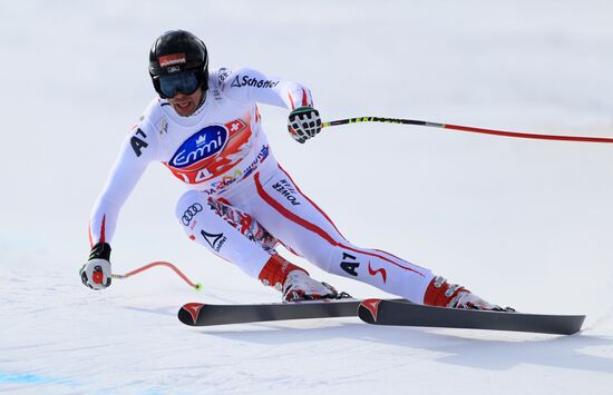 Alpine Skiing. FSI Ski World Cup. Men's downhill