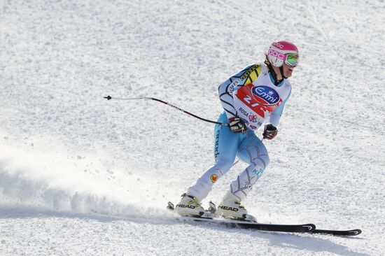 Alpine Skiing. FSI Ski World Cup. Men's downhill