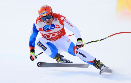 Alpine Skiing. FSI Ski World Cup. Men's downhill