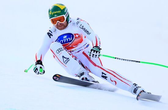 Alpine Skiing. FSI Ski World Cup. Men's downhill