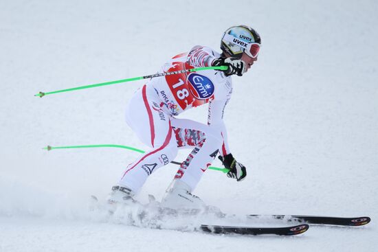 Alpine Skiing. FSI Ski World Cup. Men's downhill