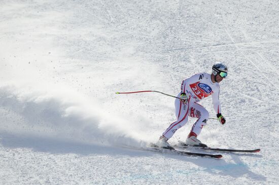 Alpine Skiing. FSI Ski World Cup. Men's downhill