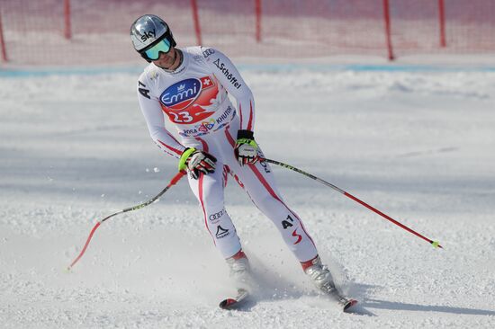 Alpine Skiing. FSI Ski World Cup. Men's downhill