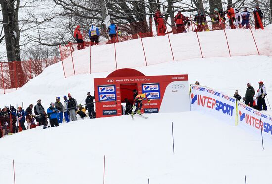 Alpine Skiing. FSI Ski World Cup. Men's super combi