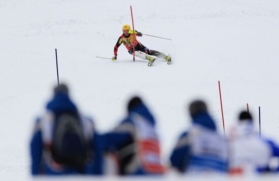 Alpine Skiing. FSI Ski World Cup. Men's super combi