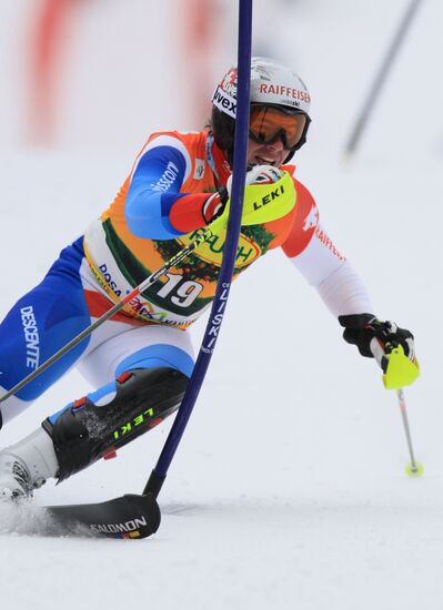 Alpine Skiing. FSI Ski World Cup. Men's super combi