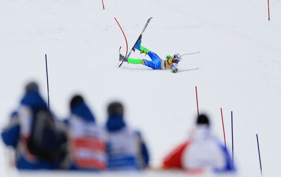 Alpine Skiing. FSI Ski World Cup. Men's super combi