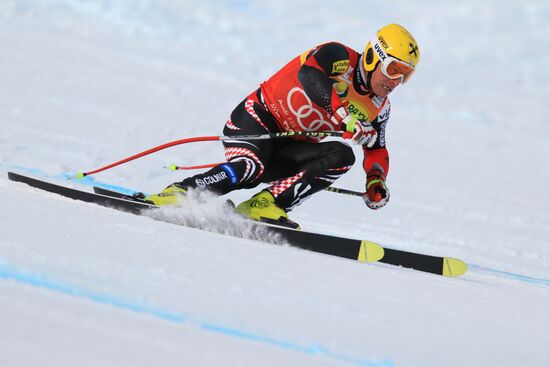 Alpine Skiing. FSI Ski World Cup. Men's super combi