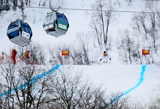 Alpine Skiing. FSI Ski World Cup. Men's super combi