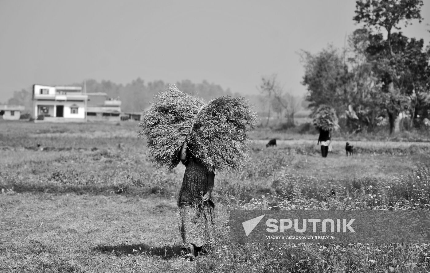 Foreign countries. Nepal