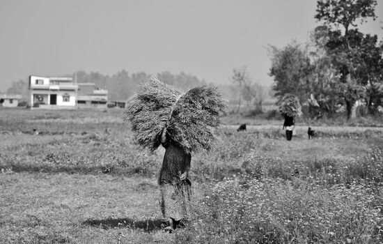 Foreign countries. Nepal