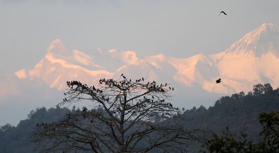 Foreign countries. Nepal