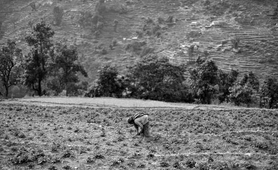 Foreign countries. Nepal