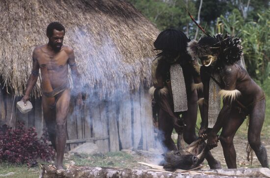 Dani tribesmen