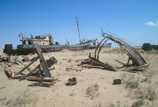 Wreckage of ships in desert
