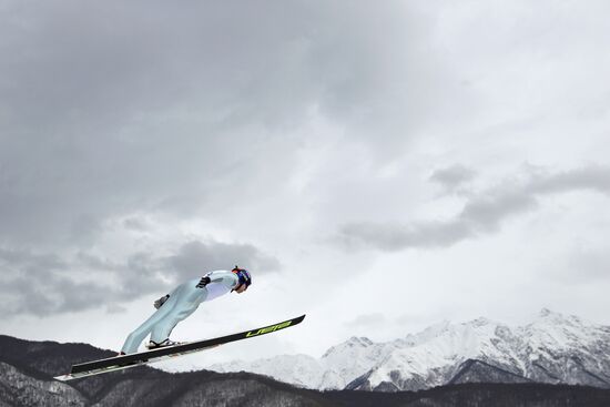 Russkiye Gorki springboard complex in Krasnaya Polyana opened