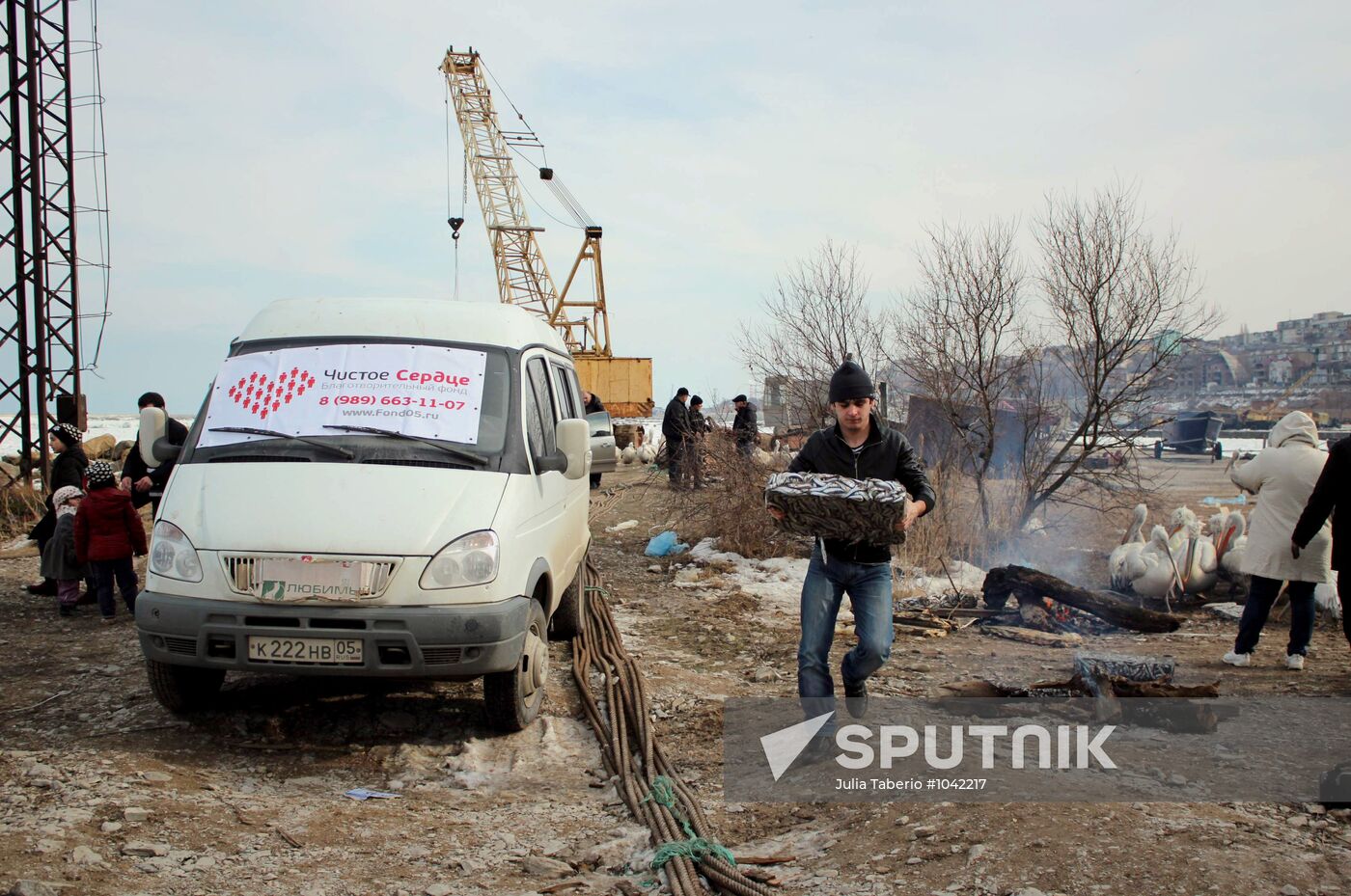 Wintering pelicans in port of Makhachkala