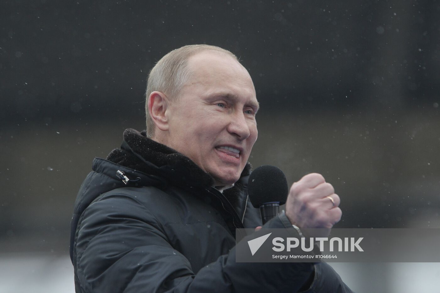 Vladimir Putin speaks to supporters at "Defend the Nation!"rally