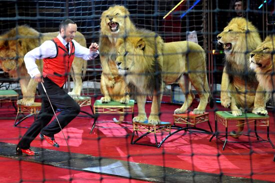 Old Moscow Circus on Tsvetnoy Boulevard presents new show