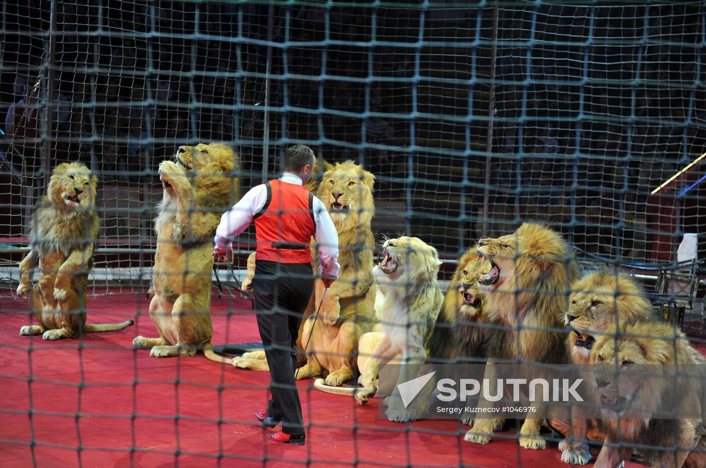 Old Moscow Circus on Tsvetnoy Boulevard presents new show