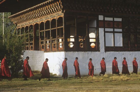 Buddhist monks and novices