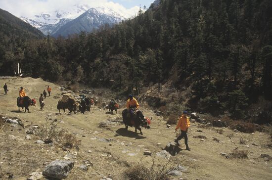 Traveling on yaks