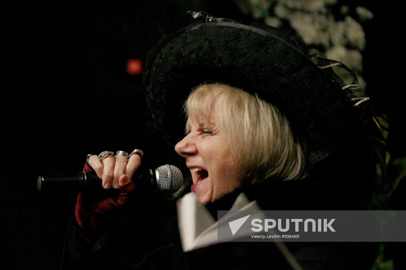 Opening of Borislav Strulev's music room