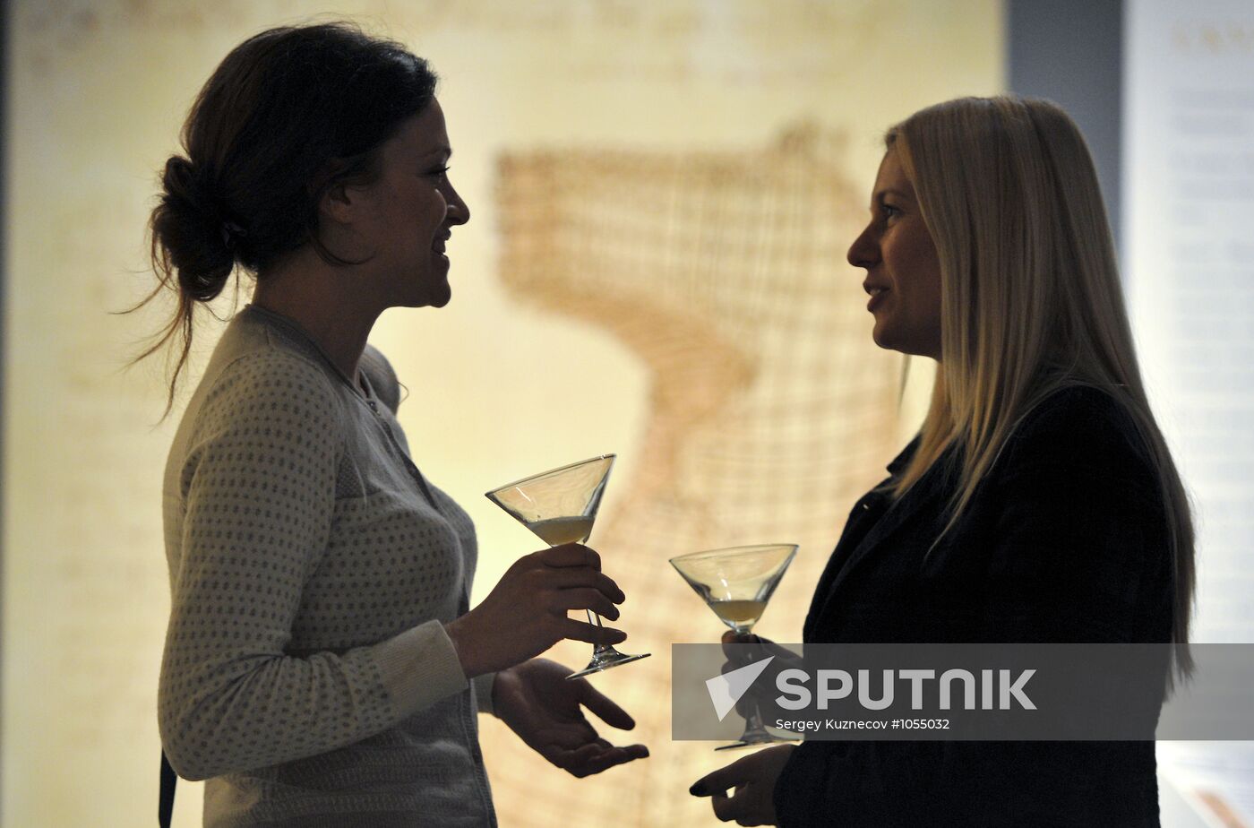 Opening of Da Vinci - The Genius exhibition