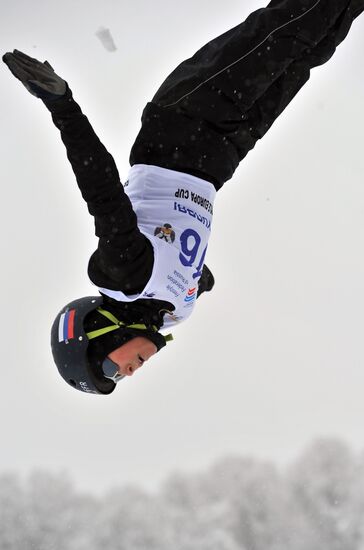 Freestyle skiing. Super Continental Cup. Training sessions