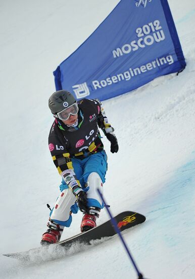 2012 FIS Snowboard World Cup. Parallel Slalom Men