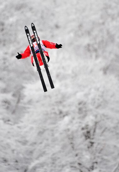 FIS Freestyle Ski Europa Cup. Ladies' Aerials