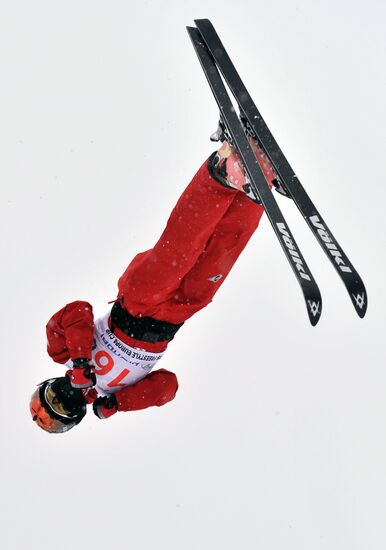 FIS Freestyle Ski Europa Cup. Ladies' Aerials