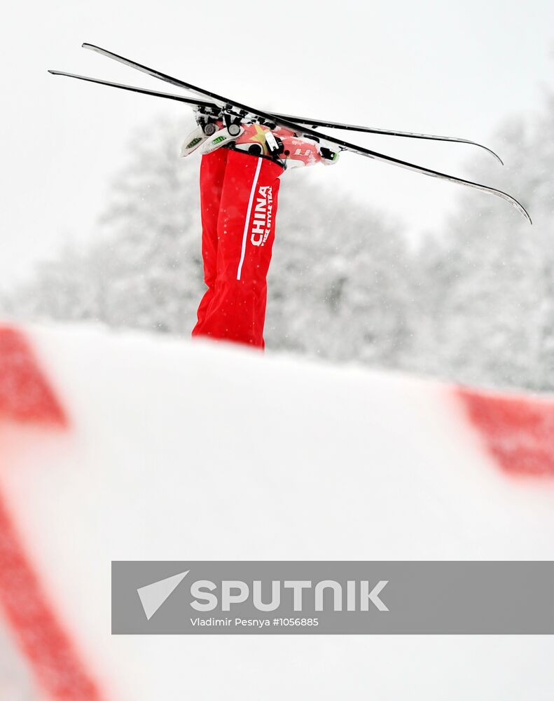 FIS Freestyle Ski Europa Cup. Ladies' Aerials