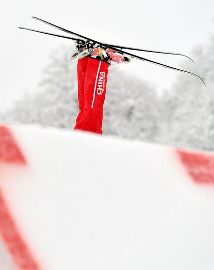 FIS Freestyle Ski Europa Cup. Ladies' Aerials