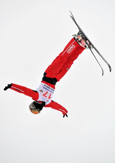 FIS Freestyle Ski Europa Cup. Ladies' Aerials