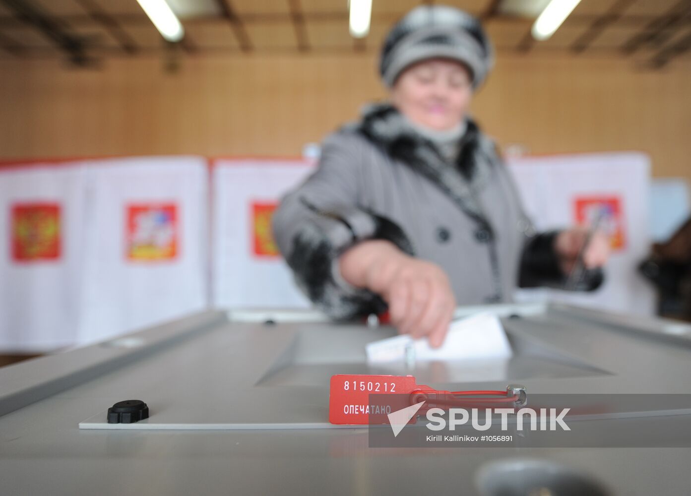 Moscow Region votes in Russian presidential election