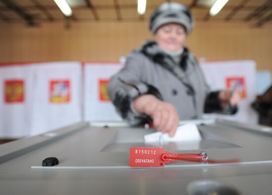 Moscow Region votes in Russian presidential election