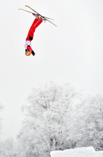 FIS Freestyle Ski Europa Cup. Ladies' Aerials