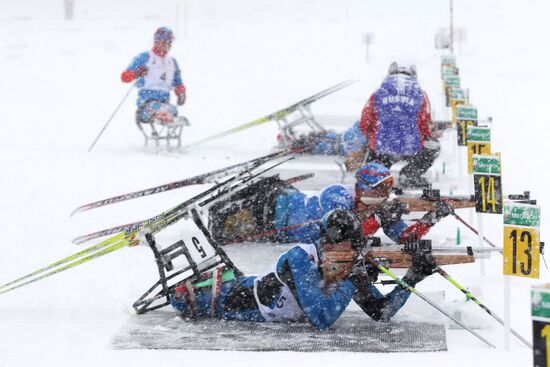 Russian Biathlon Championship. Paralympic Sport.