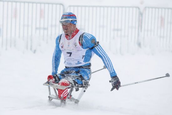 Russian Biathlon Championship. Paralympic Sport.