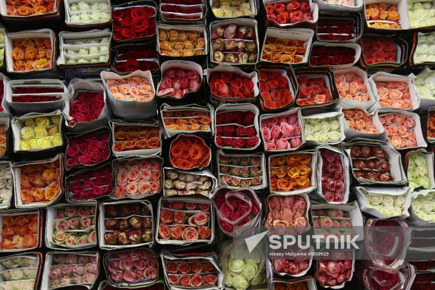 Buying flowers for Women's Day