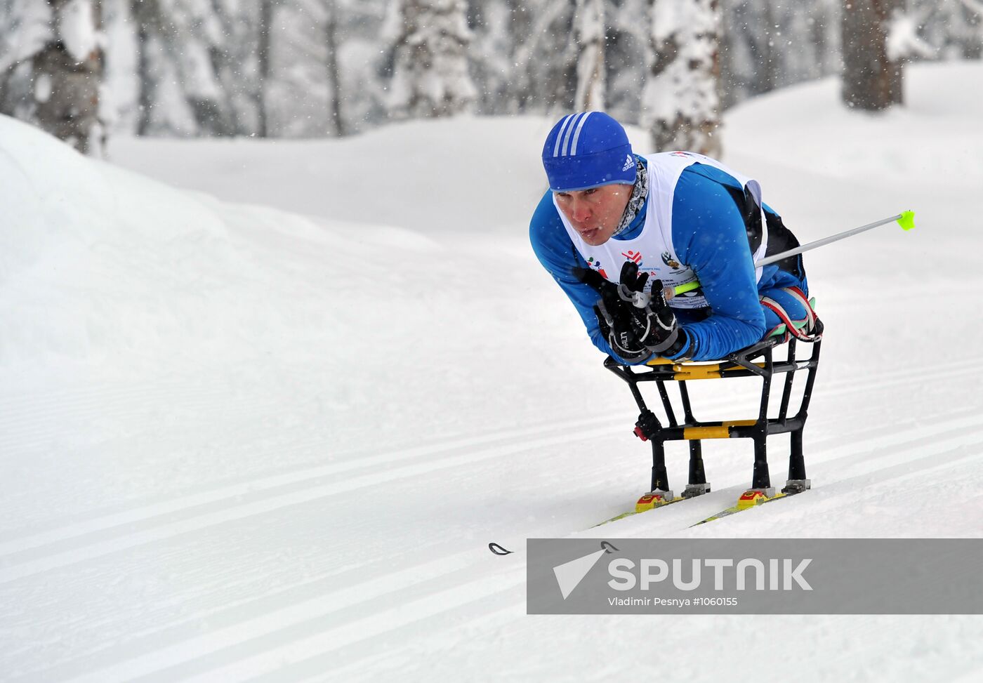 Paralympic sport. Cross-country skiing. Championship of Russia