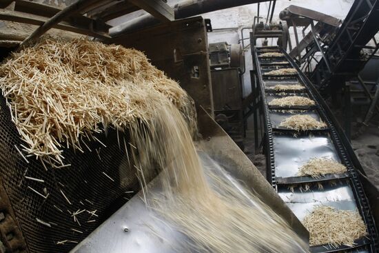 "Pobeda" match factory in Verkhny Lomov, at work