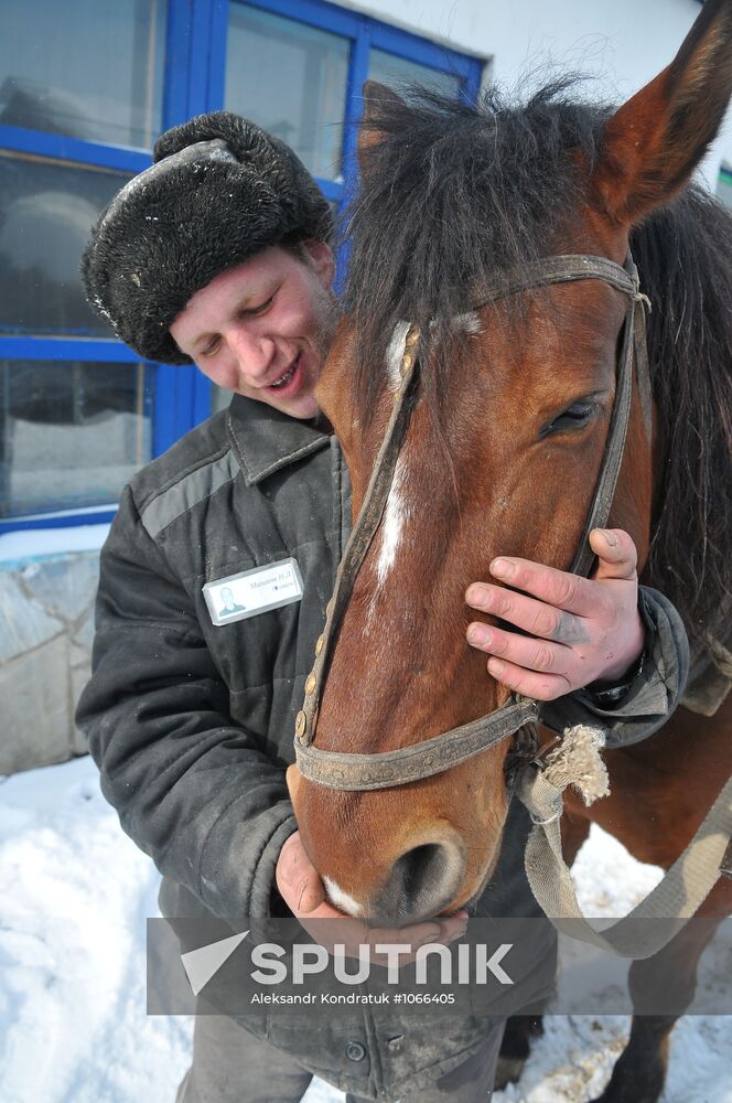 Farm work at penal colony № 21, Kasli