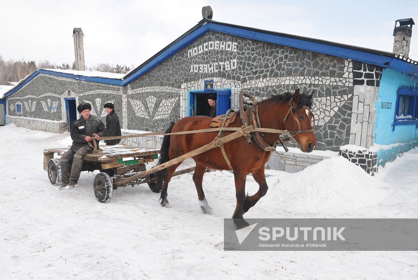 Farm work at penal colony № 21, Kasli