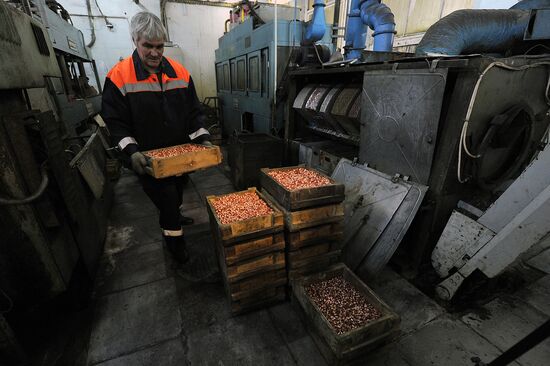 Work in Klimovsky specialized munitions plant