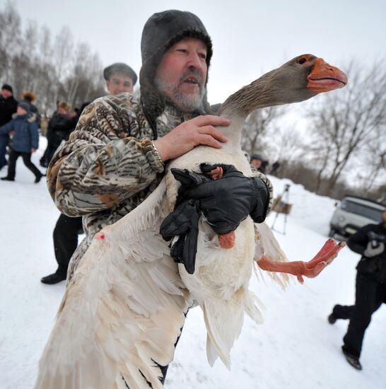 Traditional March goose fights