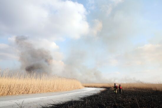 Fire-fighting operations in Astrakhan Region
