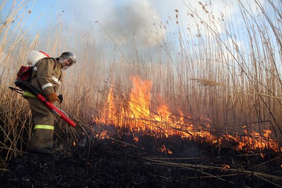 Fire-fighting operations in Astrakhan Region